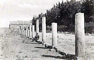ALGERIE-RUINES ROMAINES DE LAMBESE (13)